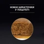 Влажный корм для котов Purina ProPlan Junior Nutrisavour Мусс с индейкой 85 г (12430962): Тип Влажный корм