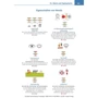 Visuelles Fachwörterbuch: Hotelfach mit Audios: Количество страниц 144