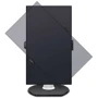 Монитор Philips 329P9H: Покрытие экрана матовое