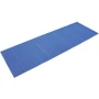 Terra Incognita Sleep Mat (синий)