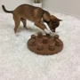 Игрушка интерактивная для собак Nina Ottosson Dog Smart Composite коричневая (no69539) фото 2