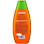 Schwarzkopf Schauma Shampoo 400 ml Шампунь Энергия Облепихи для лишенных жизненной силы и истощенных волос: Пол Для женщин