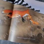 Ченлян Чжу: Іскорка: Виробник Самокат