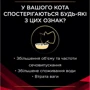 Влажный корм Purina Pro Plan Veterinary Diets DM ST/OX Diabetes Managment для кошек с сахарным диабетом  3х195 г (8445290105233): Класс Супер премиум