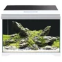 Аквариум Amtra Modern Tank 50 LED 40 л 50.5x25.5x40 см (A2001726)