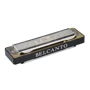 Губна гармошка Belcanto HRM-60-B (Сі): Тип Диатонические