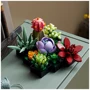 Конструктор LEGO Icons Сукуленти (10309) фото 4