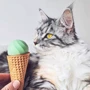 Мячик для котов Cheerble Ice Cream Ball Зеленый (2213)