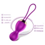 Вагинальные шарики с вибрацией и с пультом ДУ FOX - Vibrating Silicone Kegel Balls USB