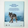 Дитяча енциклопедія хижаків: Кількість сторінок 128