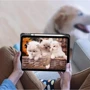 Аксессуар для iPad BeCover Soft Edge TPU with Pencil mount Gray for iPad Air 11 (2024 / 2025) (711705): Материал искусственная кожа