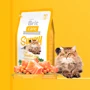 Сухой корм гипоалергенный для длинношерстных кошек Brit Care Sunny I have Beautiful Hair 7 кг (8595602505609): Тип Сухой корм