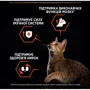 Сухой корм Pro Plan Sterilised для стерилизованных котов с лососем 3кг (7613036517454) фото 12