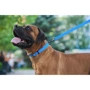 Поводок WAUDOG Waterproof, светящийся 25 мм 122 см голубой (27232): Тип Поводок