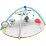 Розвиваючий музичний килимок Taf Toys Світ Навколо (12435): Особливості ігрові дуги