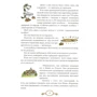 Ілля Ноябрьов: Київська кухня: Кількість сторінок 160