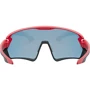 Спортивные очки Солнцезащитные очки UVEX sportstyle 231 2023 (4043197338736): Особенности Цельная оправа