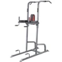 Многоцелевая станция для подтягиваний inSPORTline Power Tower PT300 (20615)