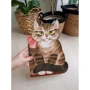 Котик-коток: Производитель Лабиринт
