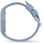 Наручний годинник Ice-Watch Artic blue 020543: Тип Женские