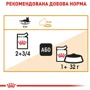 Влажный корм Royal Canin Intense Beauty Jelly для взрослых кошек 85 г (9003579311721): Порода Все породы