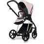 Универсальная коляска 2 в 1 Roan Ivi Candy Gold (R-I-CY): Количество блоков 2