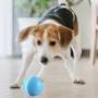 М'ячик для котів та собак Cheerble Wickedball Синій (1333) фото 10