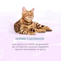Вологий корм Optimeal Beauty Harmony для кішок смугастий тунець в желе з морськими водоростями 70 г (4820215366236): Клас Холистик