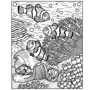 Coral Reef Magic Painting Book / Книга-раскраска Магия коралловых рифов: Производитель Usborne