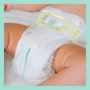 Подгузники Pampers Premium Care Midi Размер 3 (6-10 кг) 40 шт (8001090379337): Тип Подгузники