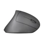 Мышь Trust Verto Wireless Ergonomic Mouse (22879): Максимальное разрешение сенсора, dpi 1600