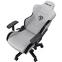 Кресло игровое Anda Seat T-Pro 2 Grey/Black Size XL (AD12XLLA-01-GB-F) фото 6