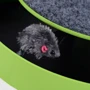 Игрушка-когтеточка Сatch the mouse Зеленая (stv-1004) фото 5
