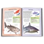 Акули и скати. Міні-енциклопедія: ISBN 978-966-923-089-8