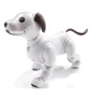 Sony Aibo ERS-1000