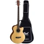 Гитара CORT SJB 5F (Natural Satin) w/bag: Тип Бас-гитара