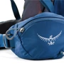 Рюкзак Osprey Kestrel 68 Loch Blue - S/M (009.1852): Объем 66 л