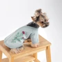 Кардиган Pet Fashion Denis XS2 м'ятний (4823082434602): Розмір тваринного Маленькие