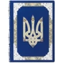 М. С. Грушевський: Ілюстрована історія України (в коробке) фото 7