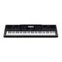 Синтезатор CASIO WK-6600: Тип Профессиональные