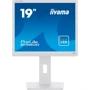 Монитор Iiyama ProLite B1980D-W5 White: Покрытие экрана матовое