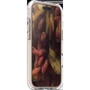 Чехол для iPhone LAUT AERO PROTECT MagSafe Light Brown (L_IP25C_AP_BR) for iPhone Air