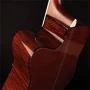 Електроакустична гітара CORT AD890MBCF (Natural Glossy) фото 9
