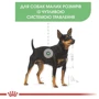 Сухой корм Royal Canin Mini Digestive Care Adult для собак малых пород c чувствительным пищеварением 3 кг (2447030): Возраст Взрослые