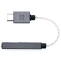 iFi GO link Black: Вид Портативный