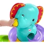 Музыкальная игрушка Слоник с шариками Fisher-Price (DGT87): Возраст от 9-ти месяцев