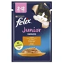 Влажный корм для котят Felix Junior Fantastic с курицей в желе 100 г (7613035072848)
