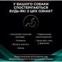 Влажный корм Pro Plan Veterinary Diets Dog EN Gastrointestinal для устранения расстройств пищеварения 400 г (7613035180376): Класс Супер премиум
