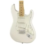 Електрогітара FENDER PLAYER STRATOCASTER MN PWT: Тип кріплення грифа Болтовой