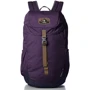 Рюкзак Рюкзак Deuter Walker 16 колір 5317 plum-navy (3810517 5317): Виробник Deuter